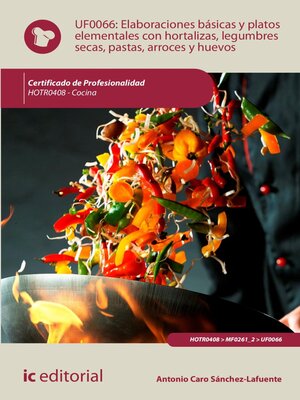 cover image of Elaboraciones básicas y platos elementales con hortalizas, legumbres secas, pastas, arroces y huevos . HOTR0408